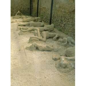 Casts of People Buried in the Destruction, Pompeii, Campania, Italy 