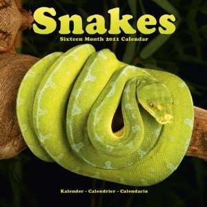  SNAKES 2011 Wall Calendar