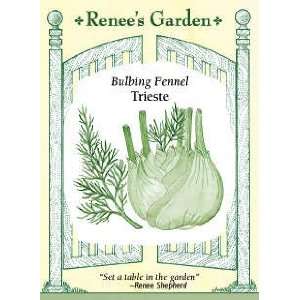  Fennel   Bulbing Trieste Seeds Patio, Lawn & Garden