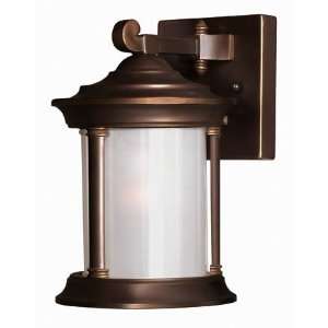   2540MT ESDS Hanna Small Outdoor Wall Sconce in Metr