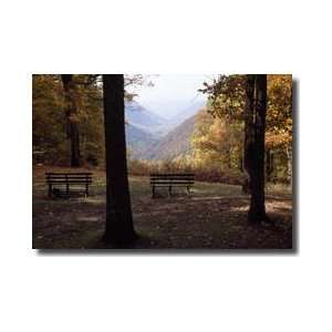  Manns Creek Gorge West Virginia Giclee Print