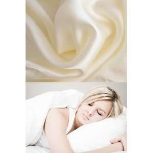  100% Mulberry Silk Filled Pillow and Pillowcase