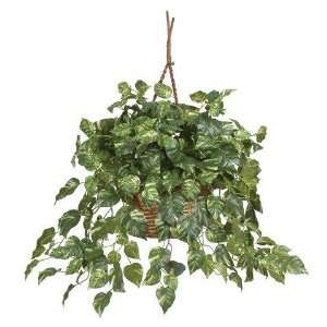 Exclusive By Nearly Natural Pothos Hanging Basket Silk Plant  