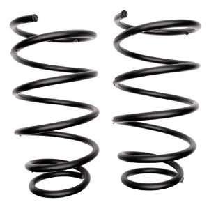  Raybestos 585 1251 Professional Grade Coil Spring Set 
