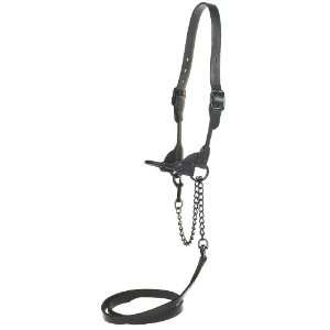  Black Magic Leather Cattle Show Halter   XL (over 1600 lbs 