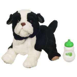  FurReal Newborn Border Collie Puppy Toys & Games