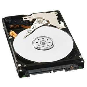 WD 1953525168 1TB 1 TERABYTE 3.5 INCH SATA HARD DRIVE, DCM HGRCHV2CGB 