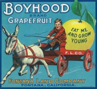 Boyhood Vintage Orange Crate Label Fontana, CA  