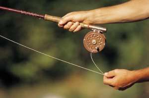   101 Fly Fishing Tips for Beginners by unknown, Robin 