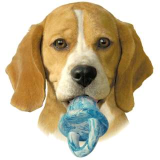 KONG Puppy SMALL Binkie Rubber Teething Dog Treat Toy  