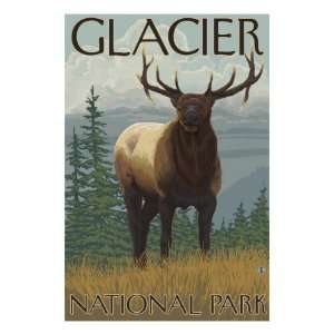  Glacier National Park, Montana, Elk Scene Premium Poster 