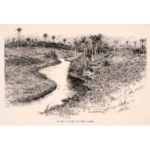  1893 Wood Engraving Valley Yaque Yaqui River Dominican 