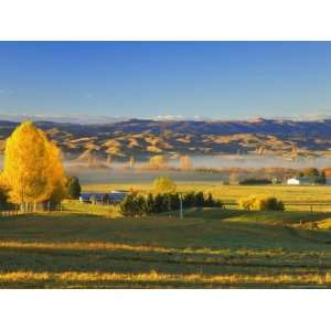 Farmland, Alexandra, Central Otago, South Island, New Zealand, Pacific 