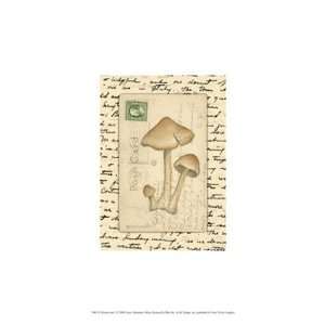    Mushrooms I   Poster by Nancy Shumaker (9.5x13)