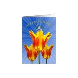  66th Birthday card, tulips full of sunshine Card Toys 
