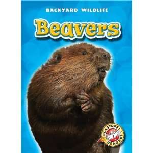 Beavers (Blastoff Readers Backyard Wildlife) (Blastoff 
