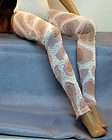 Footless Leggings Hose #5 for Ellowyne Wilde Antoinette