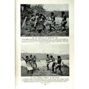  c1920 WAR DANCE SOLOMON ISLANDS GUADALCANAR AOLO COURT 