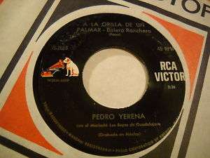 Pedro Yerena La Orilla Latin Male Vocal 45 NMb Princesa  