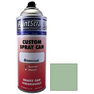  12.5 Oz. Spray Can of Light Spruce Metallic Touch Up Paint 