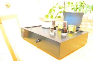 DavidyeeAudio handmade tube SE amp 6V6 KT66 6F6 6K6 6L6 EL34 6CA7 KT88 