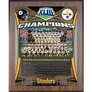  Healy Pittsburgh Steelers Super Bowl Xliii Champions 11X13 
