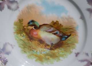 Beautiful M Z AUSTRIA Mallard Duck Porcelian Plate Gold Gilt  