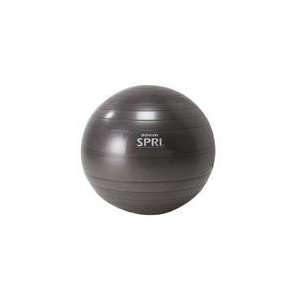  SPRI PROFESSIONAL XERCISE BALL   55cm   Slate Health 