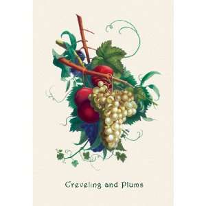  Creveling Grapes and Plums 28X42 Canvas Giclee