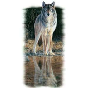    T shirts Animals Wildlife Wolf Creek XXL 