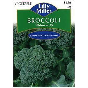  Broccoli Waltham 29 Patio, Lawn & Garden