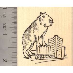  Giant Capybara Rubber Stamp Arts, Crafts & Sewing