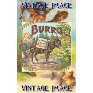   Art Greetings Card Animals Burro Donkey Vintage Image