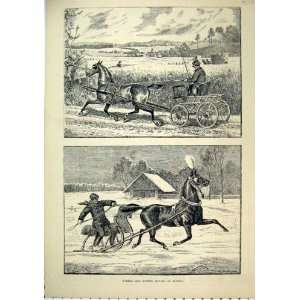  Summer Winter Scene Horse Driving Austria 1882 Print