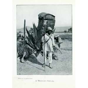  1907 Print Hispanic Peddler Mexican Merchant Mexico Desert 