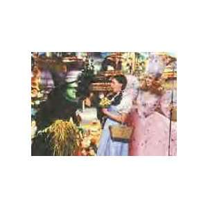  Dorothy Wicked Witch and Glenda Photo Magnet Everything 