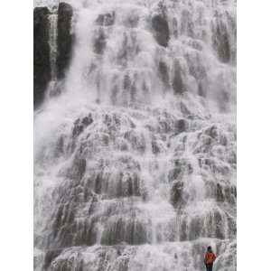 Tourist Admiring the Dramatic Waterfalls of Dynjandi, Iceland, Polar 