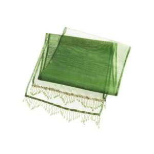  Pack of 2 90 Apple Green Sheer Silk Decorative Beaded 