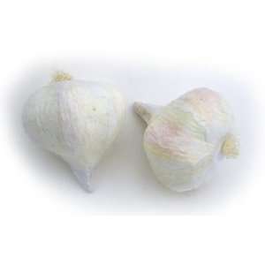  Artificial Garlic, Box of 24 