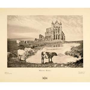  1905 Print Whitby Abbey Ruins Monastery North Yorkshire 