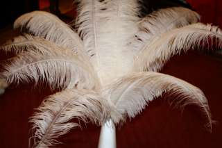 10 LARGE OSTRICH PLUMES FEATHERS GOOD QUALITY WHITE  