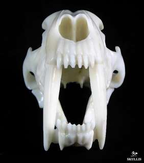AWESOME White Jade SABER TOOTH TIGER Skull 7.3  