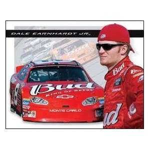  Tin Sign Nascar Dale Earnhardt Jr #1145 