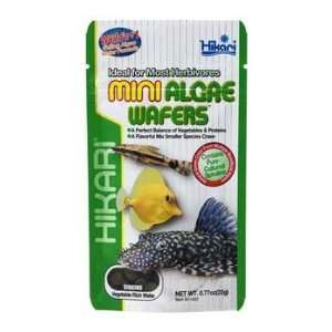  Top Quality Mini Algae Wafers .77 Oz
