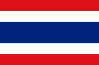 THAILAND   TAILANDIA 2007. 800 BAHT SILVER PLATA BU UNC  