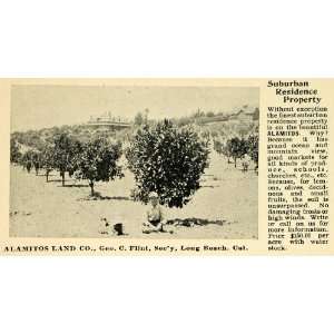  1898 Ad Alamitos Land Suburban Residence Real Estate CA 