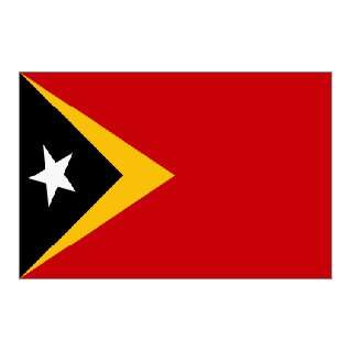 East Timor Flag Nylon 5 ft. x 8 ft.
