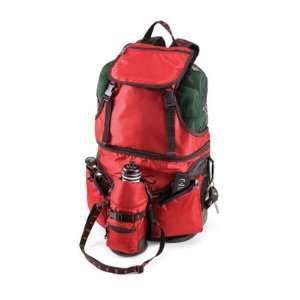 Beach Bag Deluxe Picnic Backpack 