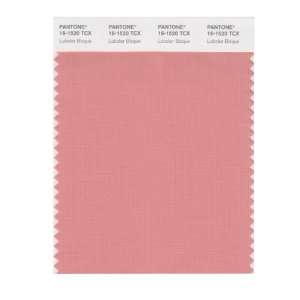   SMART 16 1520X Color Swatch Card, Lobster Bisque