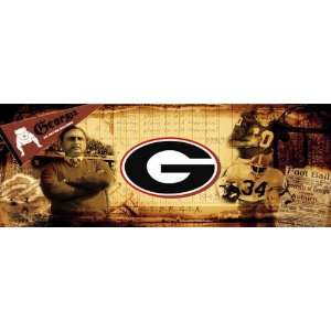  Georgia Bulldogs UGA Vintage Sports Wall Mural Wallpaper 